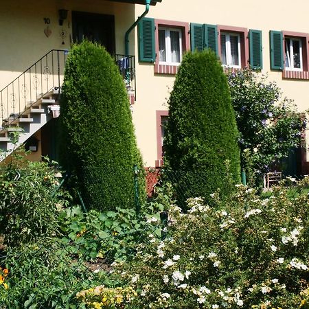 Dani'S Ferienwohnung Freiamt Екстер'єр фото