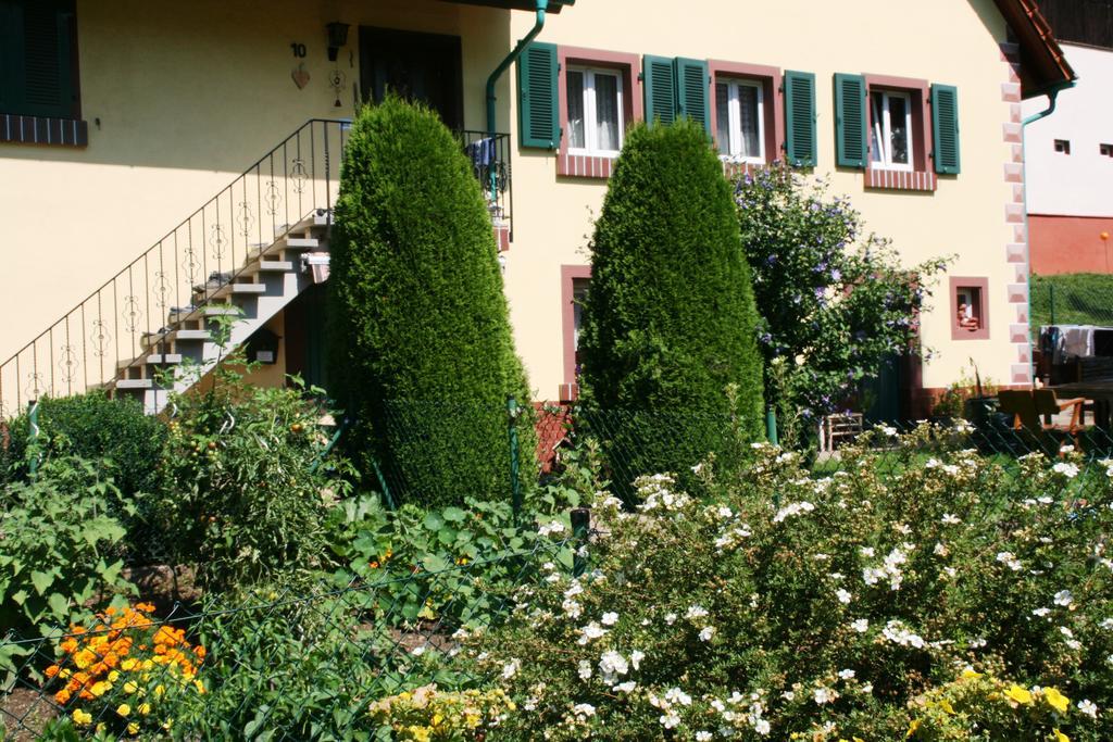 Dani'S Ferienwohnung Freiamt Екстер'єр фото